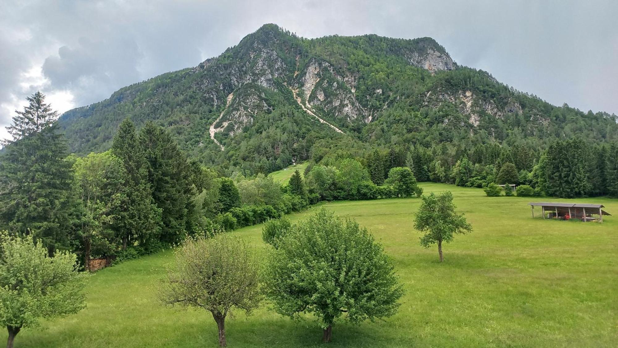 Apartma Rozle Mojstrana Zimmer foto